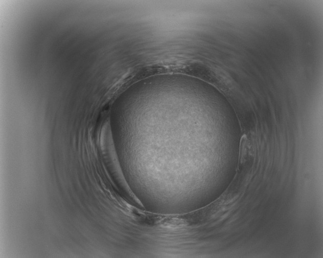 X0000060561298200511101553