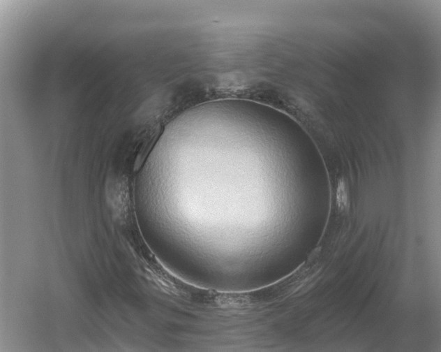 X0000060561299200511101553