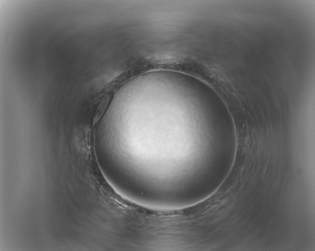 X0000060561301200511101553