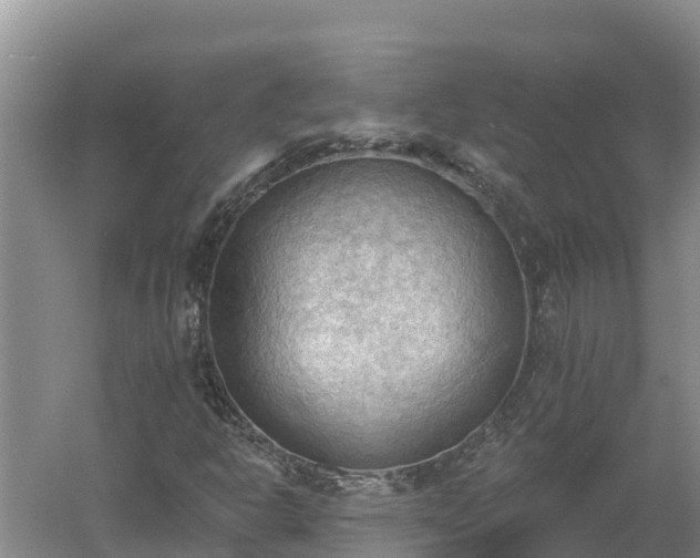 X0000060561302200511101553