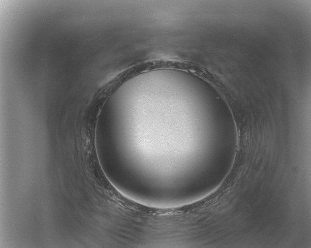 X0000060561303200511101553