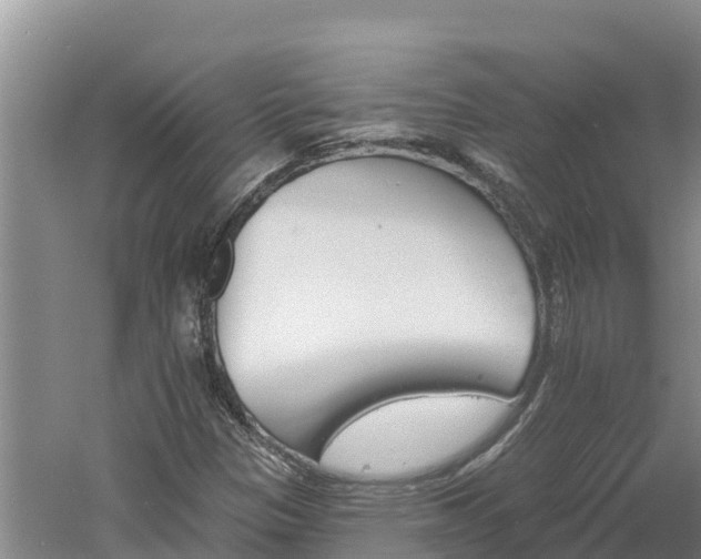 X0000060561305200511101553