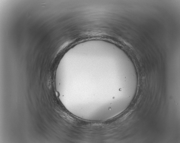 X0000060561306200511101553