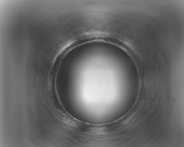 X0000060561309200511101553