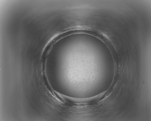 X0000060561310200511101553