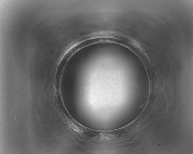 X0000060561312200511101553