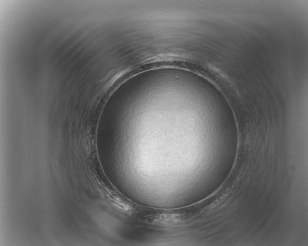 X0000060561313200511101553