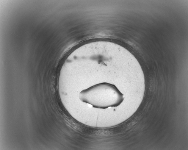 X0000060561314200511101553