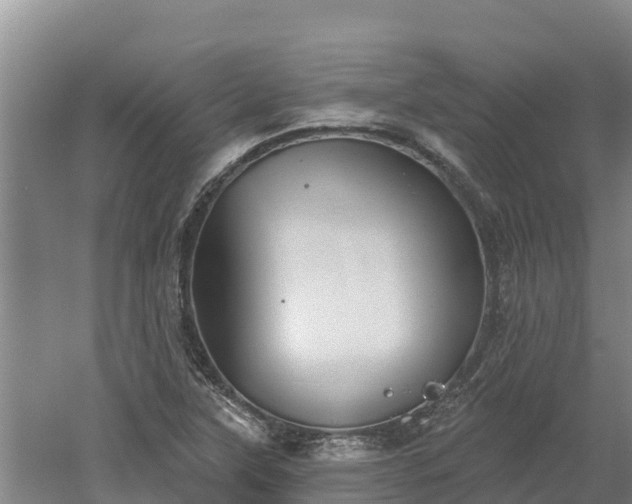 X0000060561315200511101553