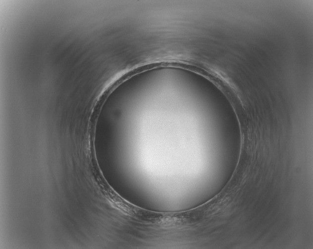 X0000060561316200511101553