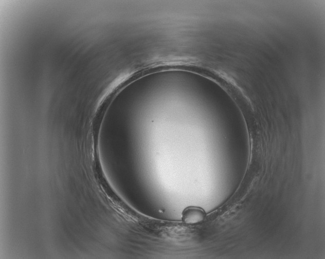 X0000060561317200511101553