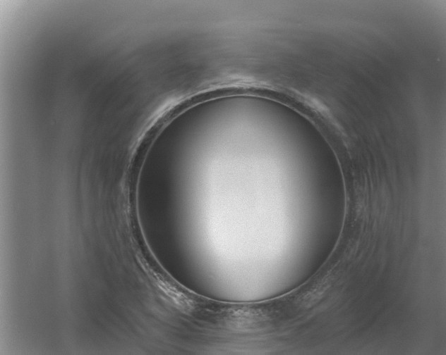 X0000060561318200511101553