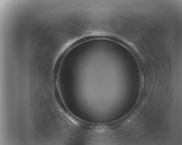 X0000060561319200511101553