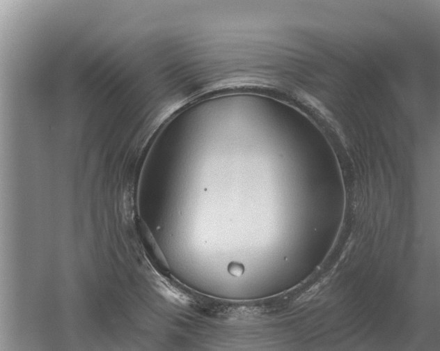 X0000060561321200511101553