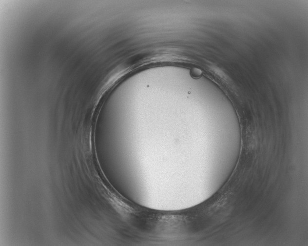 X0000060561322200511101553