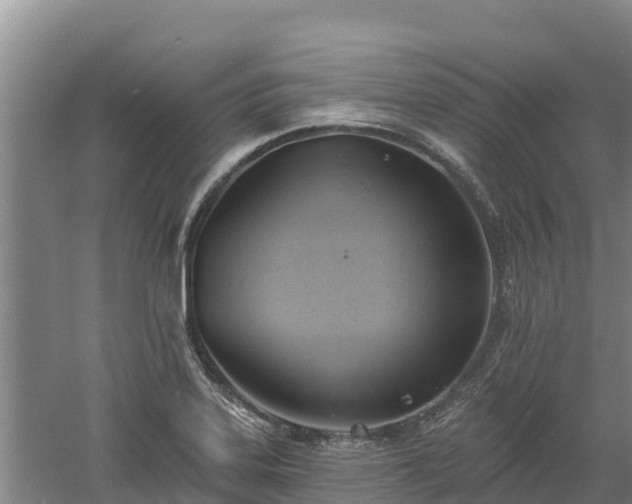 X0000060561323200511101553