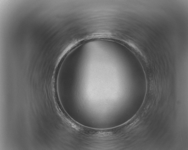 X0000060561325200511101553