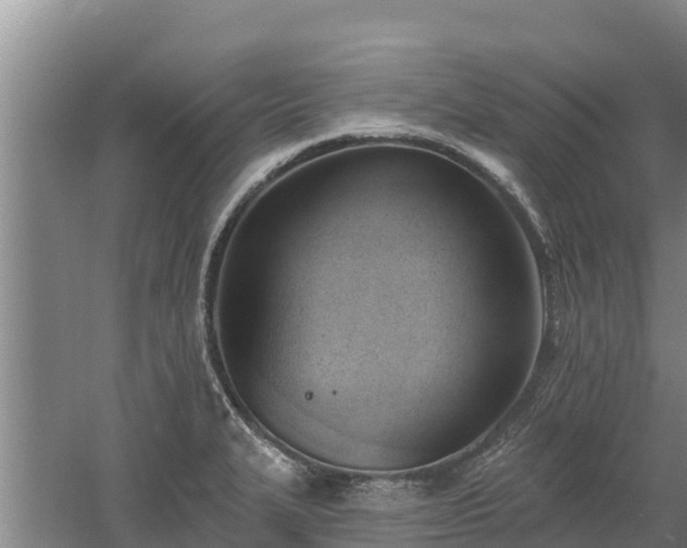 X0000060561327200511101553