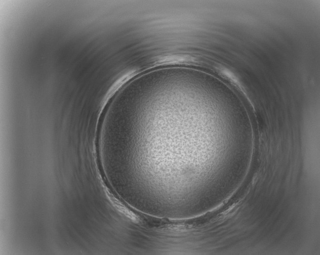 X0000060561330200511101553