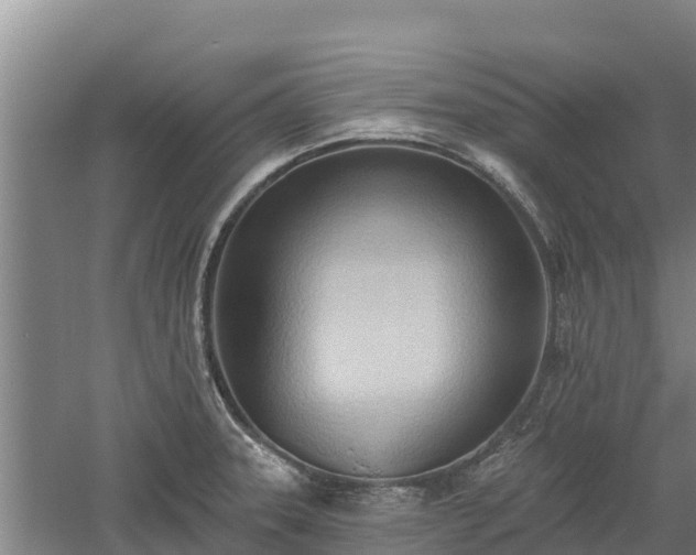 X0000060561331200511101553