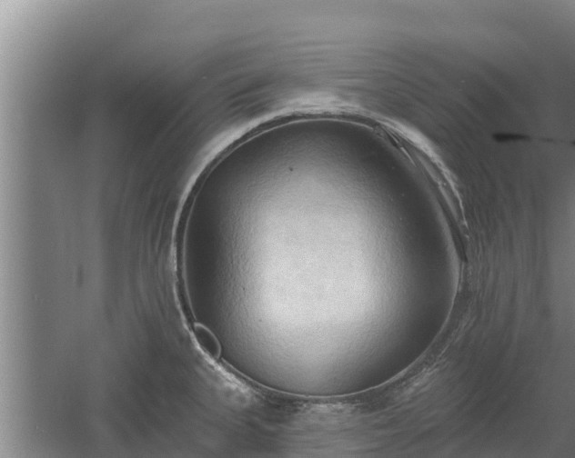 X0000060561335200511101553