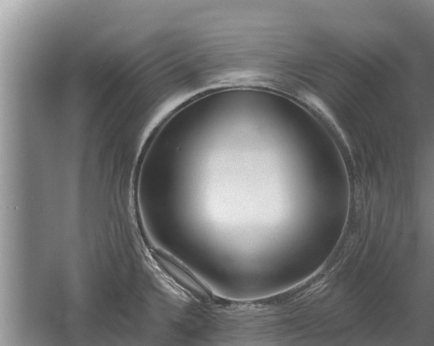 X0000060561336200511101553