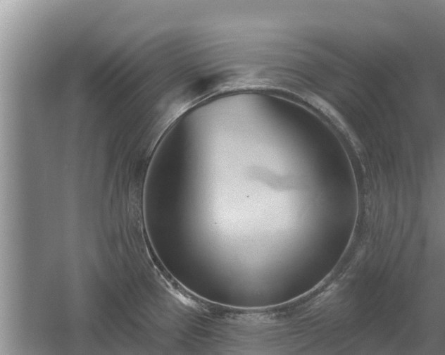 X0000060561337200511101553