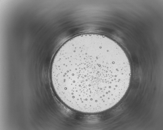 X0000060561338200511101553