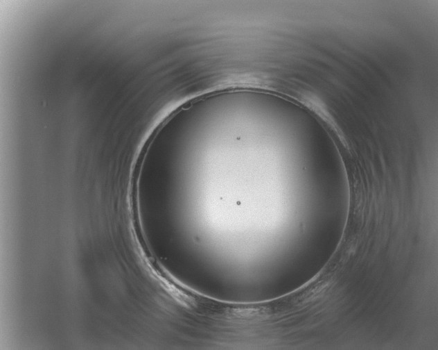 X0000060561339200511101553