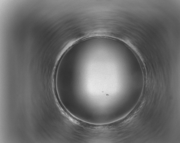 X0000060561341200511101553