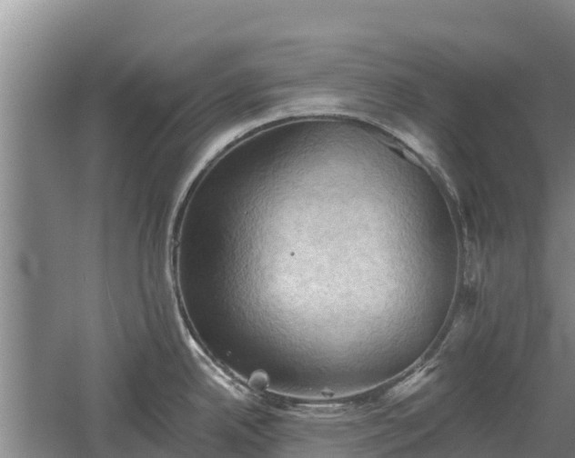 X0000060561342200511101553