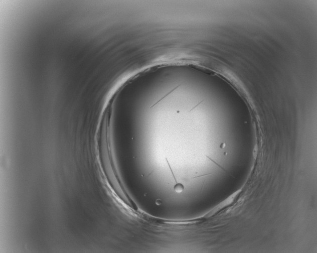 X0000060561344200511101553