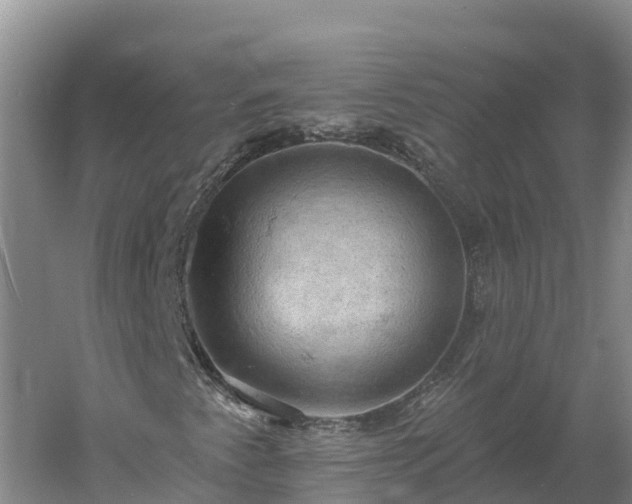 X0000060561345200511101553