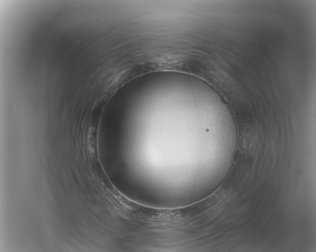 X0000060561346200511101553