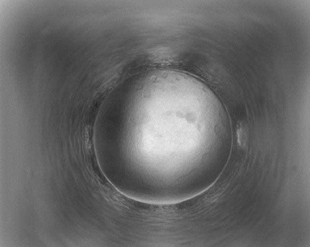 X0000060561347200511101553