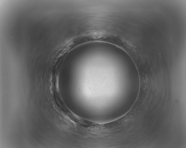 X0000060561349200511101553