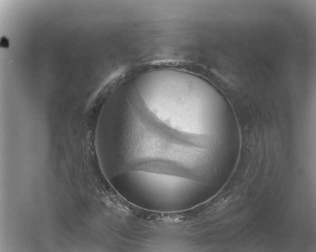 X0000060561351200511101552