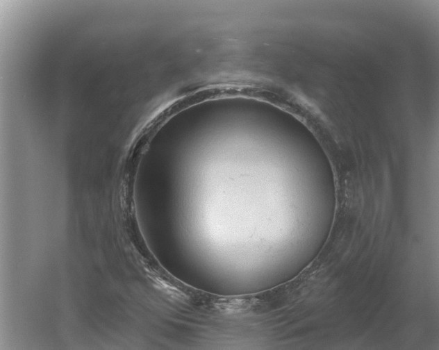 X0000060561352200511101552