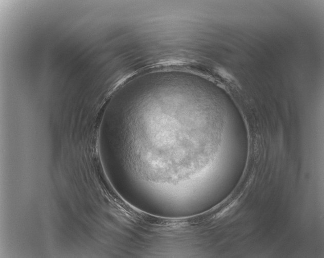 X0000060561353200511101552