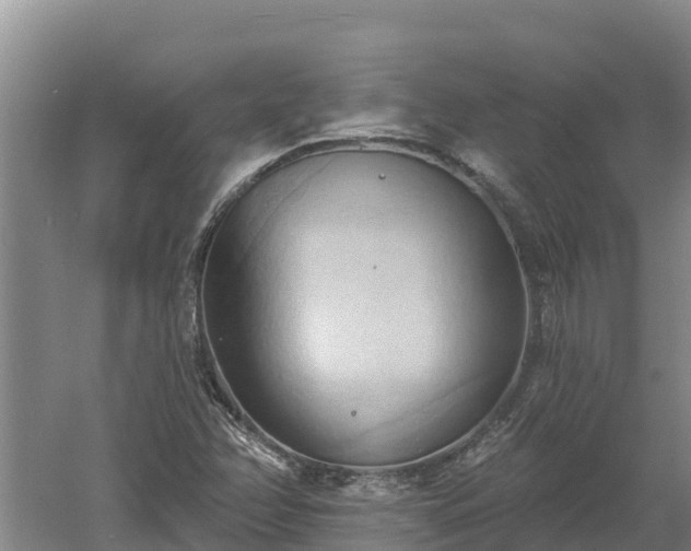 X0000060561358200511101552