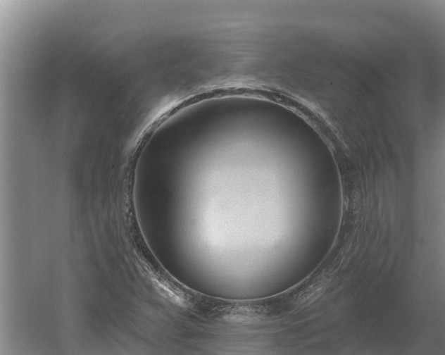 X0000060561359200511101552