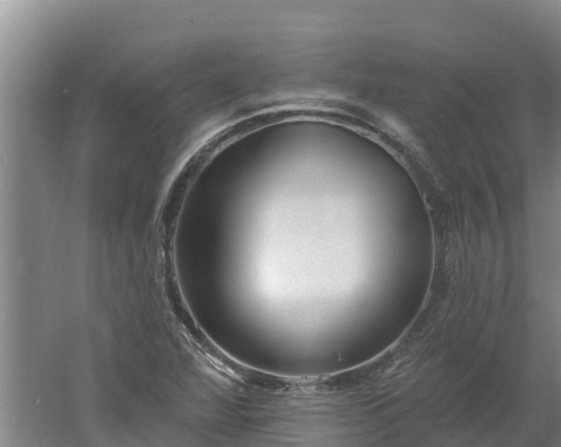 X0000060561360200511101552