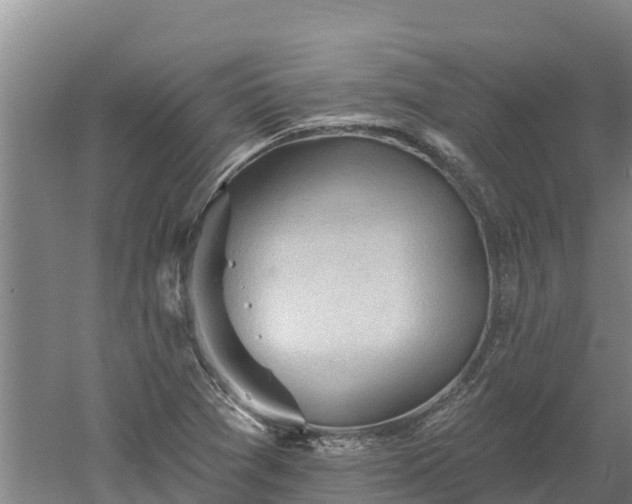 X0000060561361200511101552