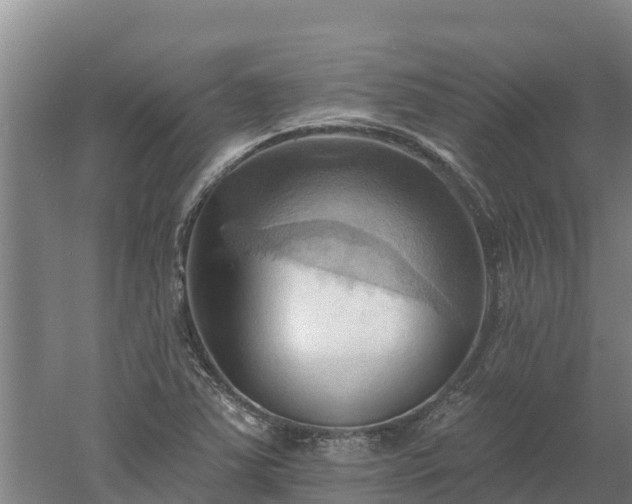 X0000060561363200511101552