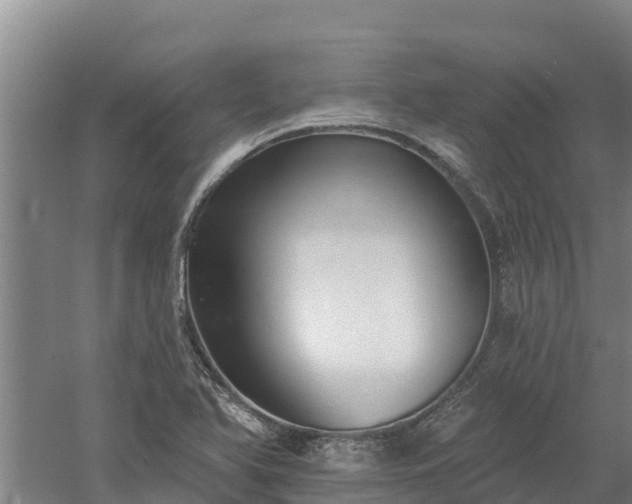 X0000060561366200511101552