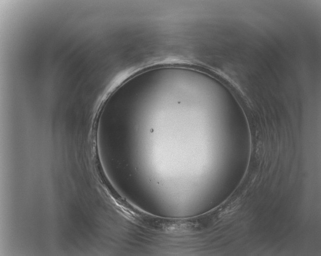 X0000060561367200511101552