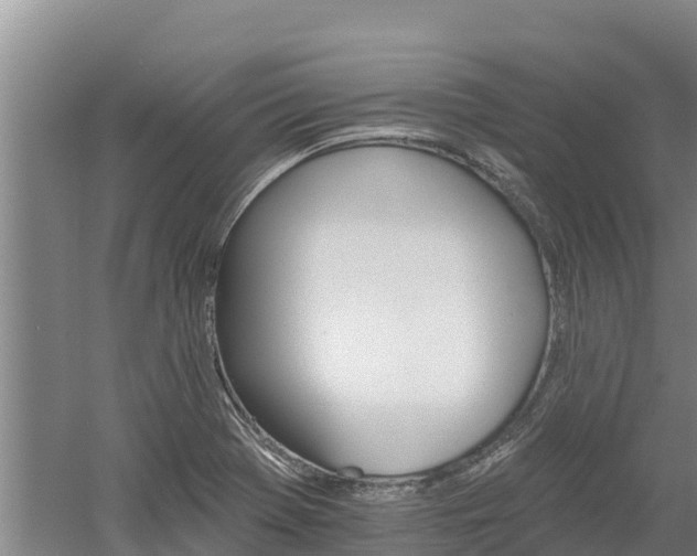 X0000060561369200511101552