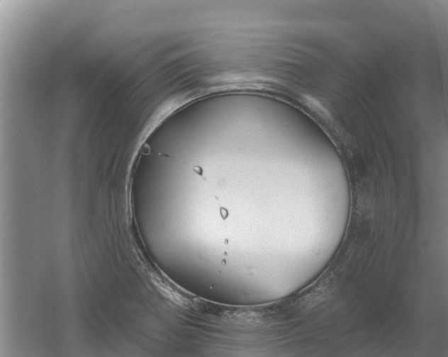 X0000060561370200511101552