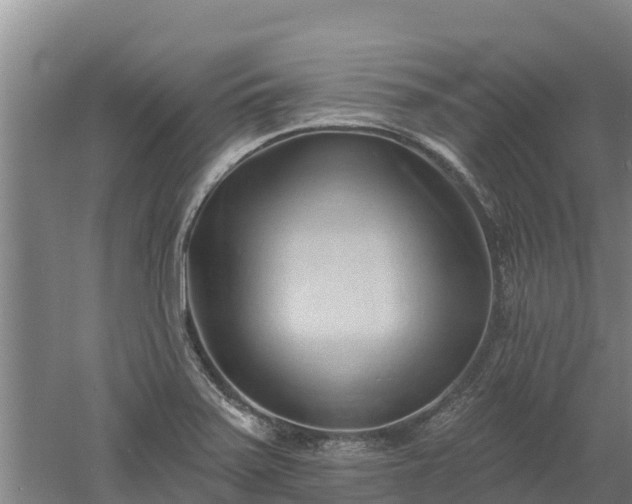 X0000060561371200511101552