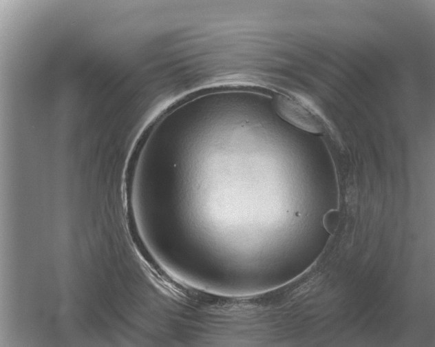 X0000060561372200511101552